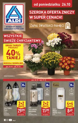 Aldi znicze