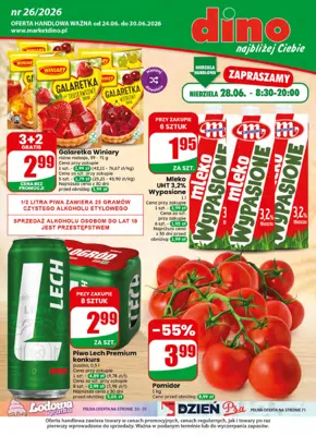 Gazetka Dino